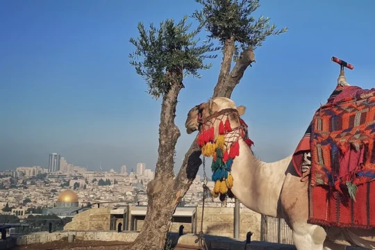 القدس من جبل الزيتون