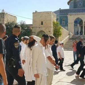 مستوطنون يقتحمون المسجد الأقصى