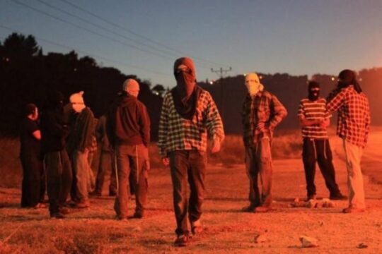 مستوطنون يعتدون على مواطن ومتضامن في الأغوار