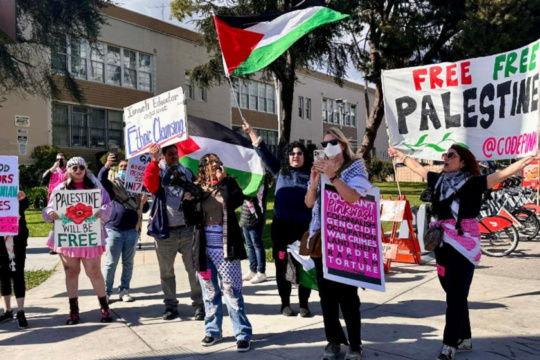 تظاهرات دعم لفلسطين