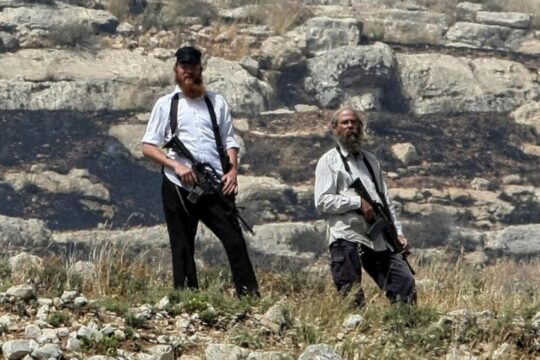 مستوطنون يهاجمون عين العوجا بالسلاح ويسرقون أغنام