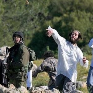 "الجدار والاستيطان": 1705 اعتداءات نفذها الجيش والمستوطنون الشهر الماضي