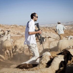 البؤر الرعوية".. مشروع استيطاني ضخم التهم معظم أراضي الضفة