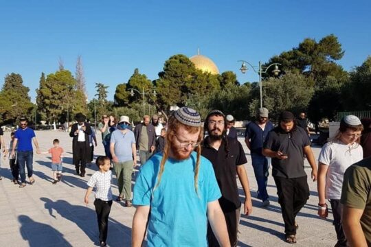 مستوطنون يقتحمون الأقصى بحماية قوات الاحتلال