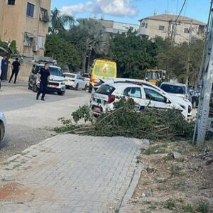 مقتل شقيقين بجريمة إطلاق نار في الرملة
