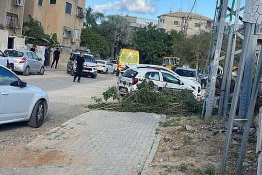 مقتل شقيقين بجريمة إطلاق نار في الرملة