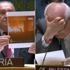 بكاء وصور أجساد تحترق في جلسة مجلس الأمن الدولي