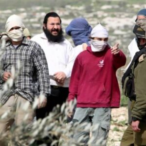 مستوطنون يهاجمون منازل في بروقين غرب سلفيت
