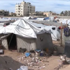 ترامب: سكان غزة يتضورون جوعا ونتطلع لإيجاد حل