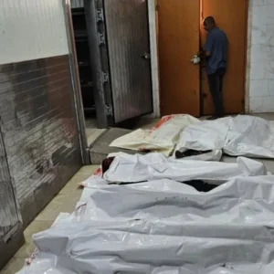 مجزرة رفح.. خبز مغمس بالدم ومساعدات تتحول لأفخاخ موت