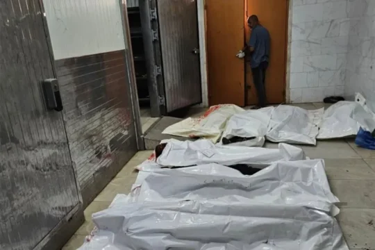 مجزرة رفح.. خبز مغمس بالدم ومساعدات تتحول لأفخاخ موت