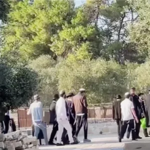 تصعيد غير مسبوق.. مستوطنون يقتحمون الأقصى بقربان من اللحم