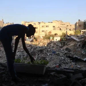 الكلاب العسكرية بديل للعملاء في فحص المباني "المشبوهة" في غزة