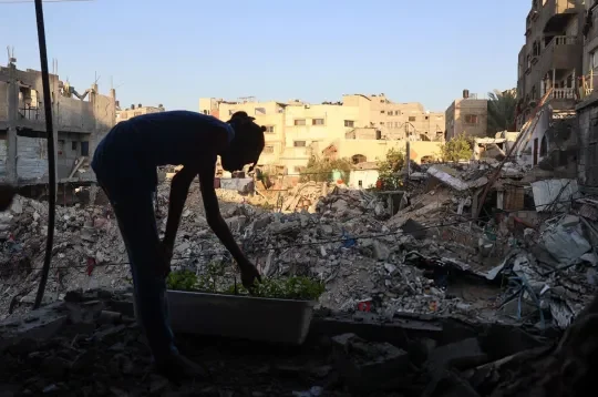 الكلاب العسكرية بديل للعملاء في فحص المباني "المشبوهة" في غزة