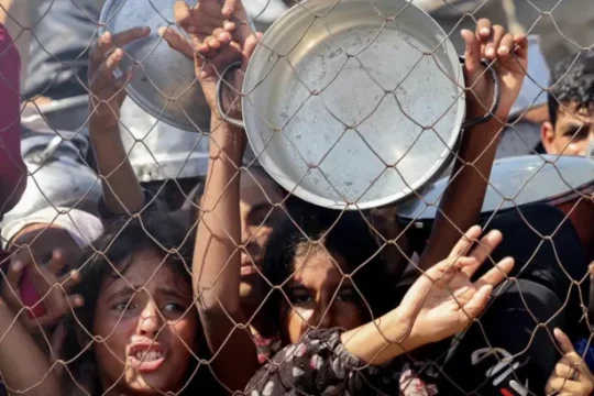 115 شهيدا بسبب المجاعة في غزة والخطر يتفاقم على الأطفال