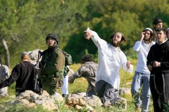 الضفة: هجوم للمستوطنين على قرى رام الله ومعتقلون بينهم صحفي