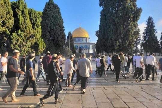 27 اقتحامًا للأقصى ومنع رفع الأذان 51 وقتًا بالإبراهيمي بيوليو