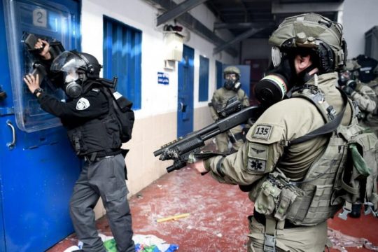 "تضامن" تصدر تقريرا حول استشهاد 75 أسيرًا بسجون الاحتلال منذ أكتوبر 2023