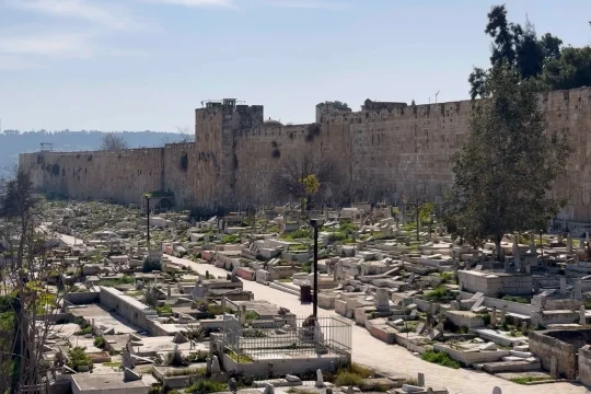 مستوطنون يقتحمون مقبرة باب الرحمة قرب المسجد الأقصى