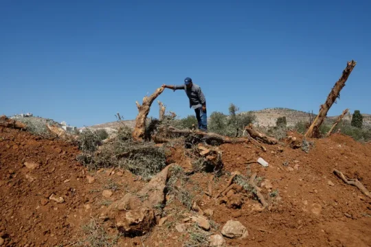 الكاتب قال إن جيش الاحتلال جرف الأرض واقتلع آلاف أشجار الزيتون (رويترز)