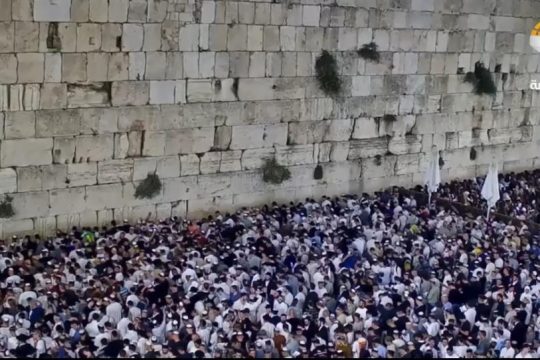 حائط البراق - الأقصى