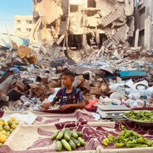 الأونروا: ارتفاع الأسعار بغزة بسبب تدمير إسرائيل الأرض الزراعية