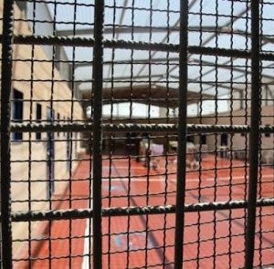 ارتفاع عدد شهداء الأسرى في غزة إلى 80 وسط استمرار الإخفاء واحتجاز الجثامين