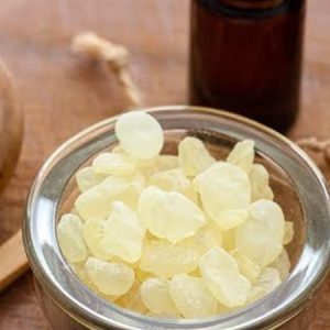 المستكة.. دموع الأشجار التي تحولت إلى كنز غذائي