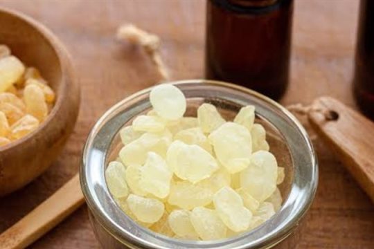 المستكة.. دموع الأشجار التي تحولت إلى كنز غذائي