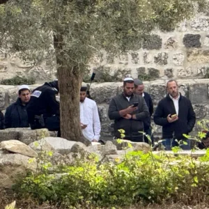 مستوطنون متطرفون يحاولون إدخال قرابين حيوانية للمسجد الأقصى