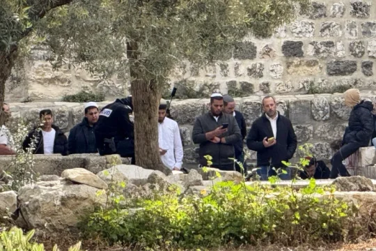 مستوطنون متطرفون يحاولون إدخال قرابين حيوانية للمسجد الأقصى