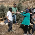 الأمم المتحدة: هجمات المستوطنين الإسرائيليين تسجل مستوى قياسيا