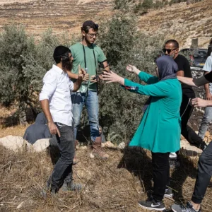 الأمم المتحدة: هجمات المستوطنين الإسرائيليين تسجل مستوى قياسيا