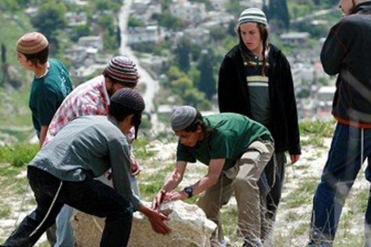 مستوطنو "شبيبة التلال" يعتزمون إدخال مندوبين لهم بحكومة الاحتلال