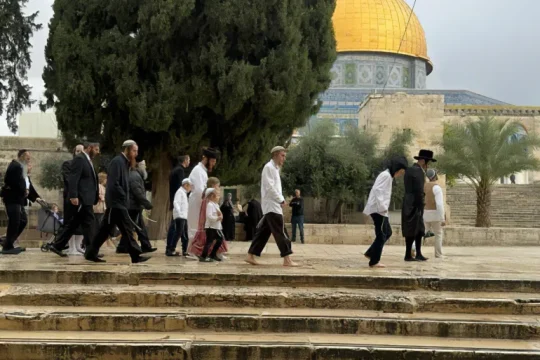 مستوطنون يقتحمون الأقصى وتهجير 13 تجمعا بدويا بالضفة